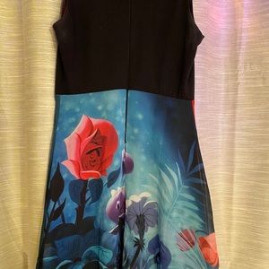 Alice in Wonderland Dress